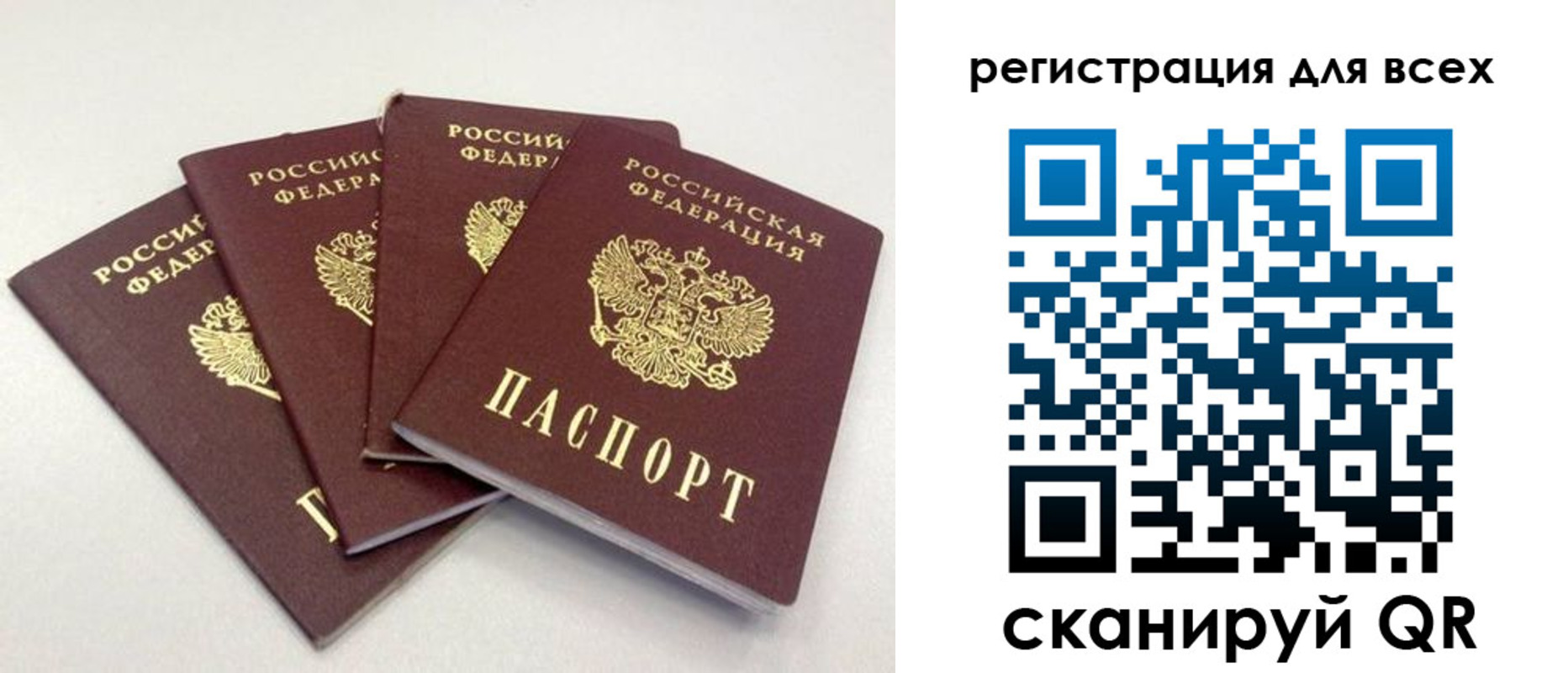 прописка законно в Россоши
